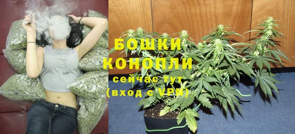 твердый Балахна