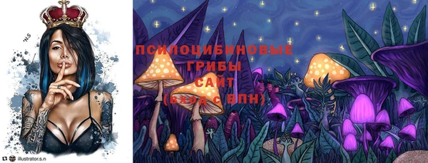 гидропоника Балабаново