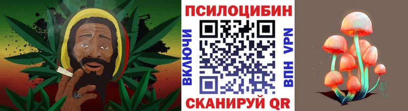 Галлюциногенные грибы мухоморы Удомля