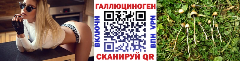 Псилоцибиновые грибы Cubensis купить сайты Удомля